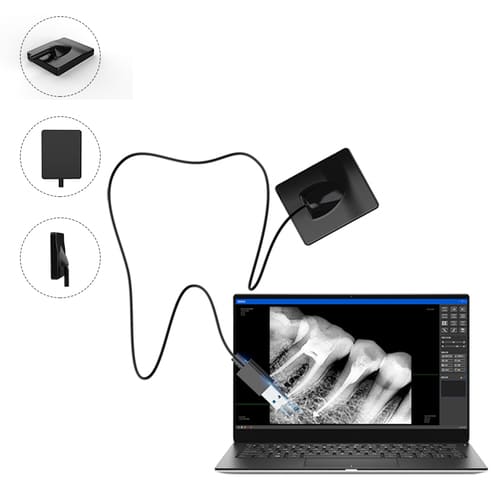 Dental Xray Sensor Panoramic Wisdom Teeth Dental Scanner Head